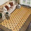 SAND MINE Reversible Mats, Plastic Straw Rug, Modern Area Rug, Large Floor Mat and Rug for Outdoors, RV, Patio, Backyard, Deck, Picnic, Beach, Trailer, Camping (9' x 18', Brown & Black)