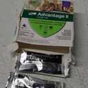 Advantage II Large Cat Vet-Recommended Flea Treatment & Prevention | Cats Over 9 lbs. | 4-Month Supply
