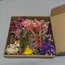 12/24 PCS Charming Dried Flowers Bouquet for Vase Various Dried Wildflowers with Stems Mini Handmade Wildflowers Natural Real Flowers Bulk Flowers Craft (Various Series, 24 PCS)