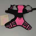 rabbitgoo Dog Harness No Pull with 2 Leash Clips, Adjustable Soft Padded, Reflective Oxford No Choke Pet Vest with Easy Control Handle for Large Dogs, Pink, L