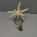 LipLopBest Starfish Tree Topper for Christmas Trees, 9.06 Inches Coastal Christmas Tree Topper for Beach Nautical Xmas Decoration Rustic Large Natural Starfish Treetop Ornaments for Xmas Holiday Decor