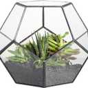 NCYP Small No Door Terrarium Planter - 6.8" x 6.8" x 5.9" Open Geometric Glass Terrarium Pot for Mini Succulents, Small Cactus - Home Tabletop Miniature Decor, Black (No Plants)