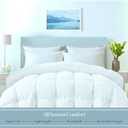 ROYALE LINENS Comforter - Full Size Duvet Insert - All Season Soft Quilted Comforters with 8 Corner Tabs - Down Alternative Bedding Comforter - Box Stitched Duvet Insert (White, Full 82"x86")