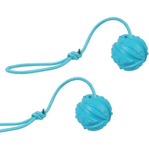 Dog Training Ball on Rope, 2Pcs Dog Rope Toys for Chew Training, Pull Throw and Fetch