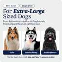 Midwest 48-Inch Single Door iCrate, for Extra-Large Breeds, 90-110 lbs,  Black - Single Door, XL (48"L) 