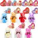 28 Pack Valentines Day Gifts Cards with Plush Bears Toys, Mini Stuffed Animals with Valentine's Greeting Cards for Kids Classrom School Exchange Prize Party Favors(Heart Cards)