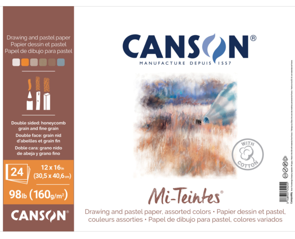 Canson Drawing Pad Mi-Teintes, 12"X16"