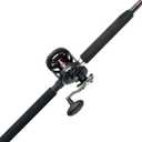 Penn Warfare II Star Drag Conventional Reel and Fishing Rod Combo (30 Size Reel - 7' - Medium - 1pc)