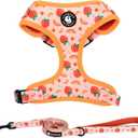 Dog Harness and Leash Set, Adjustable Dog Harness, Dog Leash, No Pull No Choke Puppy Harnesses for Walking Training for Small Pet (S(Chest 13 - 19", Neck 9.5 - 13.1"), Peach)