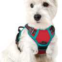 rabbitgoo Dog Harness No Pull with 2 Leash Clips, Adjustable Soft Padded, Reflective Oxford No Choke Pet Vest with Easy Control Handle for Puppy, Red & Teal, XS (X-Small)