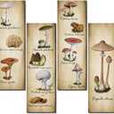 Yookeer 4 Pcs Vintage Mushroom Wall Decor Mushrooms Art Wooden Sign Rustic Mushroom Kitchen Decor Fungus Aesthetic Poster for Bedroom Dining Room Living Room Office(15.7 x 5.2 Inch)