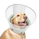Dog Cone Collar with Snap-on Detachable Soft Liner, Lightweight Transparent Elizabethan Alternative to Stop Licking, for Spay Neuter Surgery Recovery, for Dogs (Green,S)