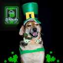 Lionheart glory St. Patrick's Day Dog Collar, Clover Green Dog Collars for Large Dogs Spring Pet Collar Adjustable Heavy-Duty Puppy Collars Pet Gift