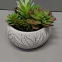 yel canby 6 Inch Artificial Succulent Plant in White Ceramic Pot - Realistic Fake Succulent for Home Office Desk Bathroom Decor Coffee Table Decor