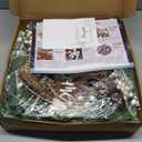 24 Inch Winter Wreaths for Front Door Outside- Pinkpuii Artificial Outdoor Christmas Wreath with Pinecones,White Berries and Welcome Sign,Xmas Holiday Winter Decorations for Home Farmhuse Door Decor