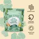 3 x Four Sigmatic Gut Health Organic Herbal Tea | Organic Lemon Ginger Tea with Probiotics & Turkey Tail Mushroom | Instant Digestive Tea | Vegan, Gluten-Free | Lemon Ginger, 24 Servings