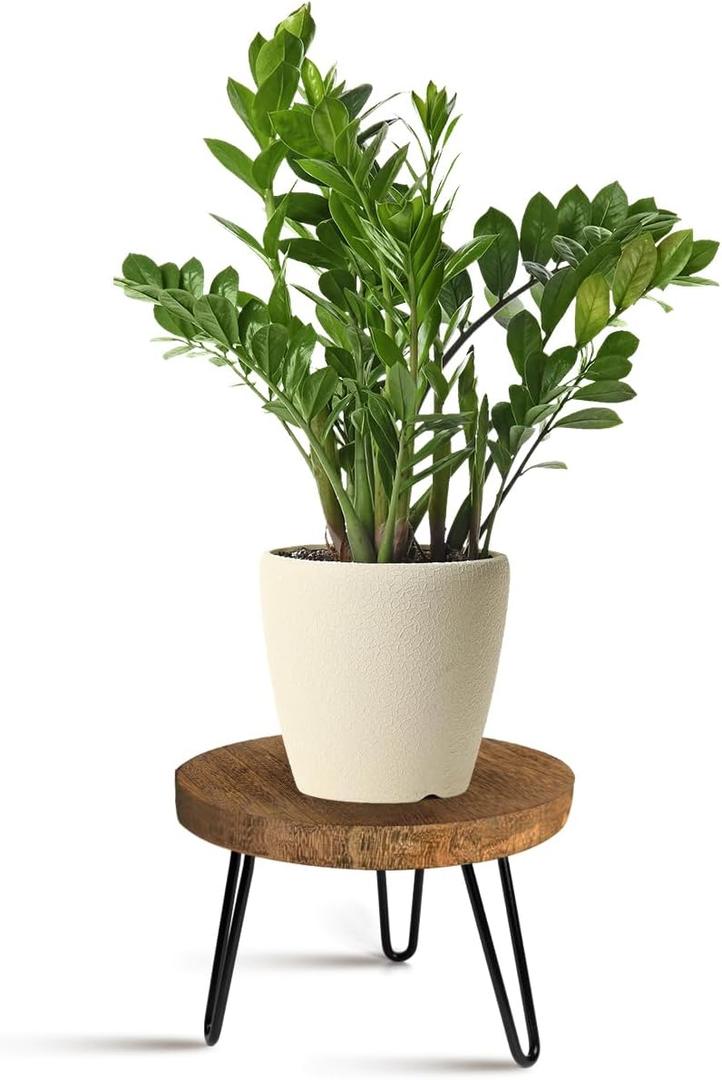 Plant Stand Indoor Outdoor Wood Mid Century Plant Stand for Indoor Plants, Modern Plant Table Round Plant Stool, Boho Rustic Wooden Stool for Plant Pot Hol (L) (Dark Brown)