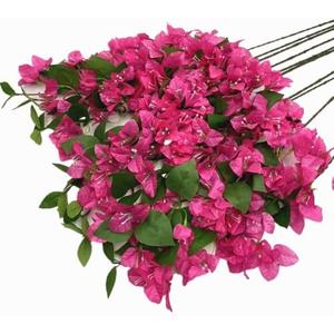 jiumengsong 20pcs Artificial Bougainvillea Flower Vine 24 Heads/Piece Silk Bougainvillea Spectabilis Blossom Tree Branch for Wedding Centerpieces Shop Wall Decoration (deep Pink)