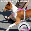 TagME No Pull Dog Harness with 2 Leash Clips,Lightweight & Visible for All-Day Walking,No Choke Pet Vest Includes AirTag Holder for Small Dogs,Fuchsia Pink