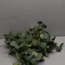 Sullivans 6 ft Eucalyptus Leafy Green Garland, Artificial Greenery, Decor for All Seasons, Perfect for Weddings, Fireplace Mantels, Dining and Living Rooms, Pack 2