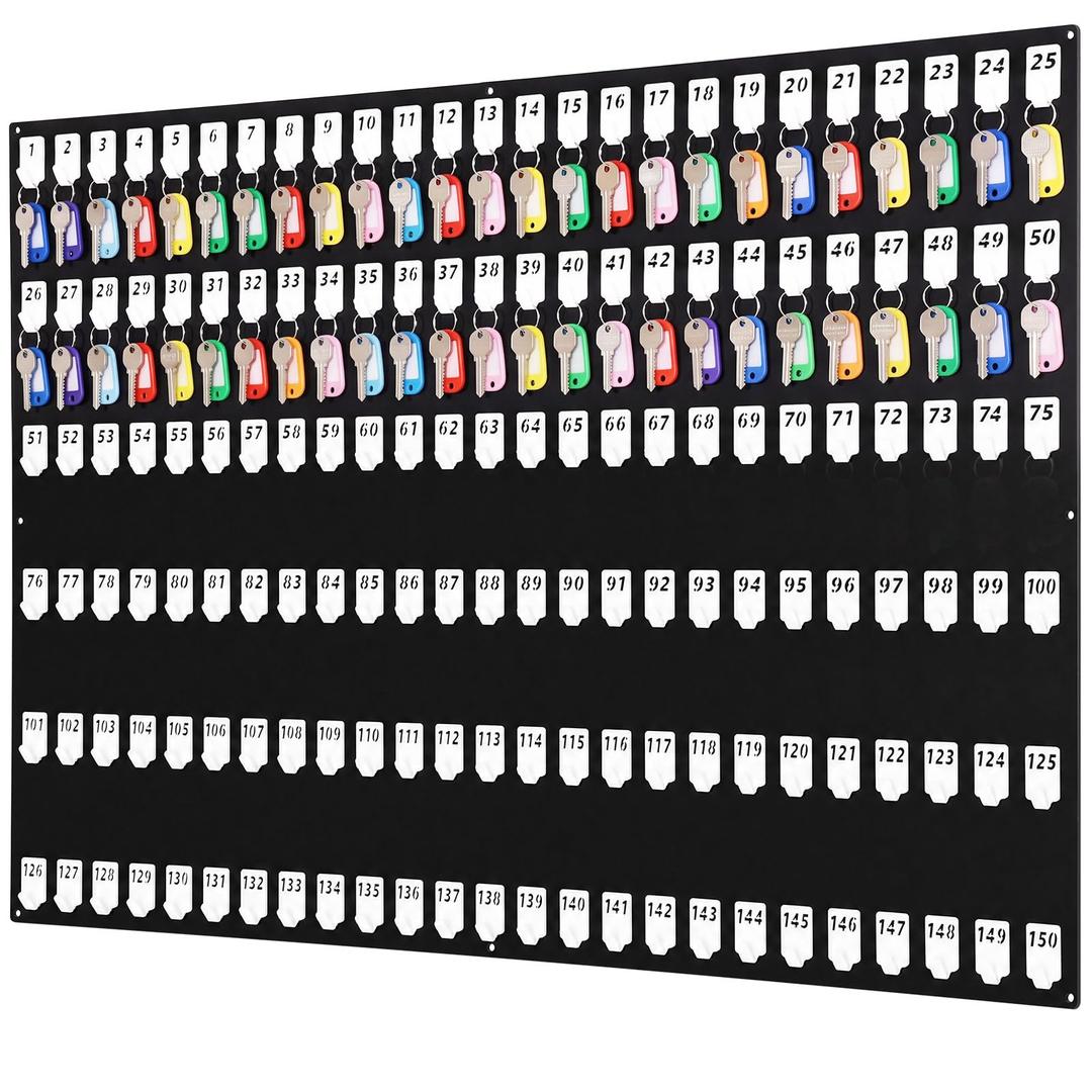 Beeveer Acrylic Key Holder Board with 150 Hooks, Wall Mount Organizer,Black