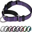 Martingale Dog Collar, Adjustable Nylon Reflective Collar with Buckle No Pull Dog Collar for Small Medium Large Dogs (Purple M)