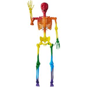 JOYIN 5.6 FT Halloween Posable Life Size Skeleton, Full Body Realistic Bones with Movable Joints, Rainbow Color Giant Skeletons for Halloween Decoration Outdoor, Haunted House Prop, Spooky Scene Party