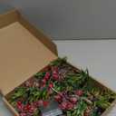 5.9FT Artificial Christmas Garland String Lights with 162 Snowy Red Berries 55 Green Leaves 20 LED Lights Battery Operated for Xmas Mantle Indoor Outdoor Holiday Christmas Thanksgiving Decoration