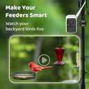 NETVUE by Birdfy Smart Bird Feeder Camera, Adjustable Brackets, Auto Bird Video Capture, Instant Notifications, AI Identify 6000+ Species