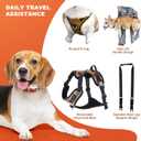 Dog Lift Harness, Dog Lift Sling Carrier with Handle & Shoulder Sling, Support Harness for Rear Back Legs Helps,Disabled,Arthritis,Joint Injuries,Paralysis Up StairsOrange,Medium