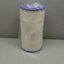 Pool Filter Compatible with SwimClear C100S, CX100XRE, C-9440, PA100S, 1 Pack