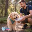 My Pet & Me Foldable Dog Water Bottle Portable - 550ml/18.5oz - Water Bottle for Dogs with Foldable Drinking Bowl, Leakproof, Compact, Lightweight & Durable Hydration Solution On-The-Go