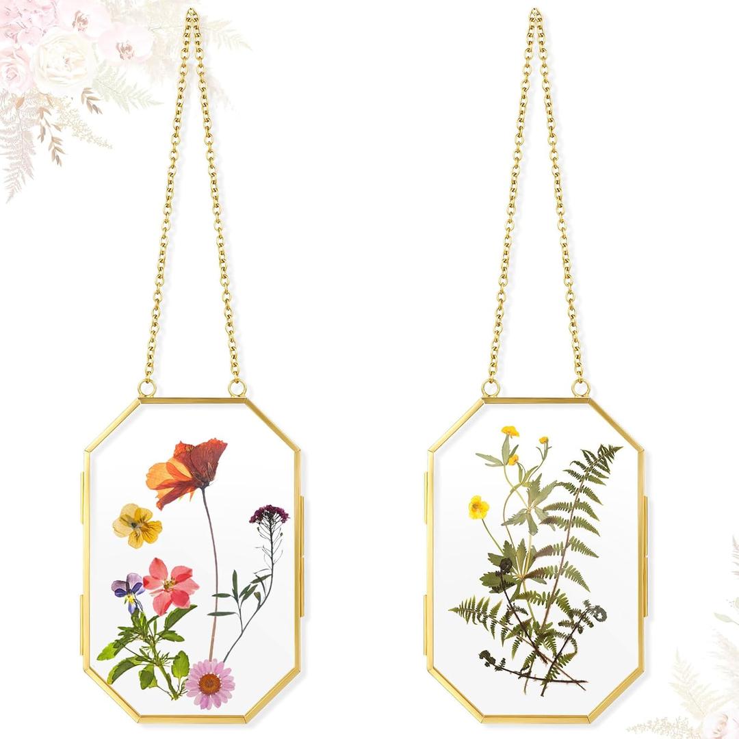 Qunclay 2pcs Pressed Flower Frames Floating Wall Hanging Double Glass Frames with Metal Chain for Display Dried Plant Specimen Picture Pretty Gifts for Mom Friends DIY Handy Craft(Gold,3.5 x 2.5 Inch)
