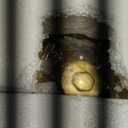 18 Inch Dog Fire Hydrant Pee Post Puppy Pee Training Post Garden Statue, Blue & Gold Fire Hydrant Outdoor Figurines Decor for Yard Garden Lawn Patio