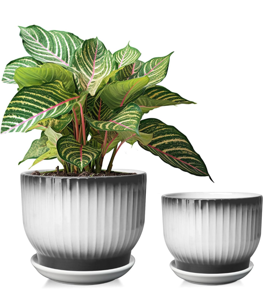 6.7 + 5.5 Inch Ceramic Plant Pots,Set of 2,Planters with Drainage and Saucer,Indoor Pots for Plants,Modern Flower Pots for Home and Office（Black + White）
