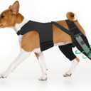 Dog Knee Brace for Back Leg, Hind Leg Support After Torn ACL CCL Surgery, with Reinforced Triangle Iron Connector,Stabilizer for Luxating Patella and Ligament, for Medium Large Dogs(L)