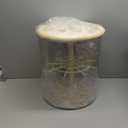 Clear Display Case for LABUBU Plush Dolls and Collectible Toys - 360° Rotating Plastic Dust-Proof Storage Box with Cover, Protective Showcase, No Doll (2-Tier, Cream Yellow)