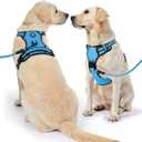 NESTROAD No Pull Dog Harness,Adjustable Oxford Dog Vest Harness with Leash,Reflective No-Choke Pet Harness with Easy Control Soft Handle for Small Dogs(X-Small,Blue)