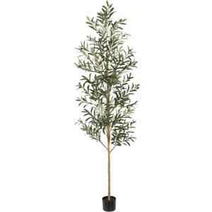 FLOWORLD 7FT Olive Trees Artificial Indoor, Tall Faux Olive Tree 7FT (84in) with Natural Wood Trunk & Realistic Olives, Stable Base, Pet Friendly Artificial Plant for Home Office, Living Room, Outdoor
