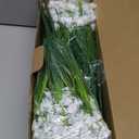 AmyHomie 20 Bundles Artificial Flowers for Outdoor Outside Spring Summer Decoration UV Resistant Faux Flowers No Fade Fake Plastic Plants Garden Porch Window Box Decorating (Pure White)
