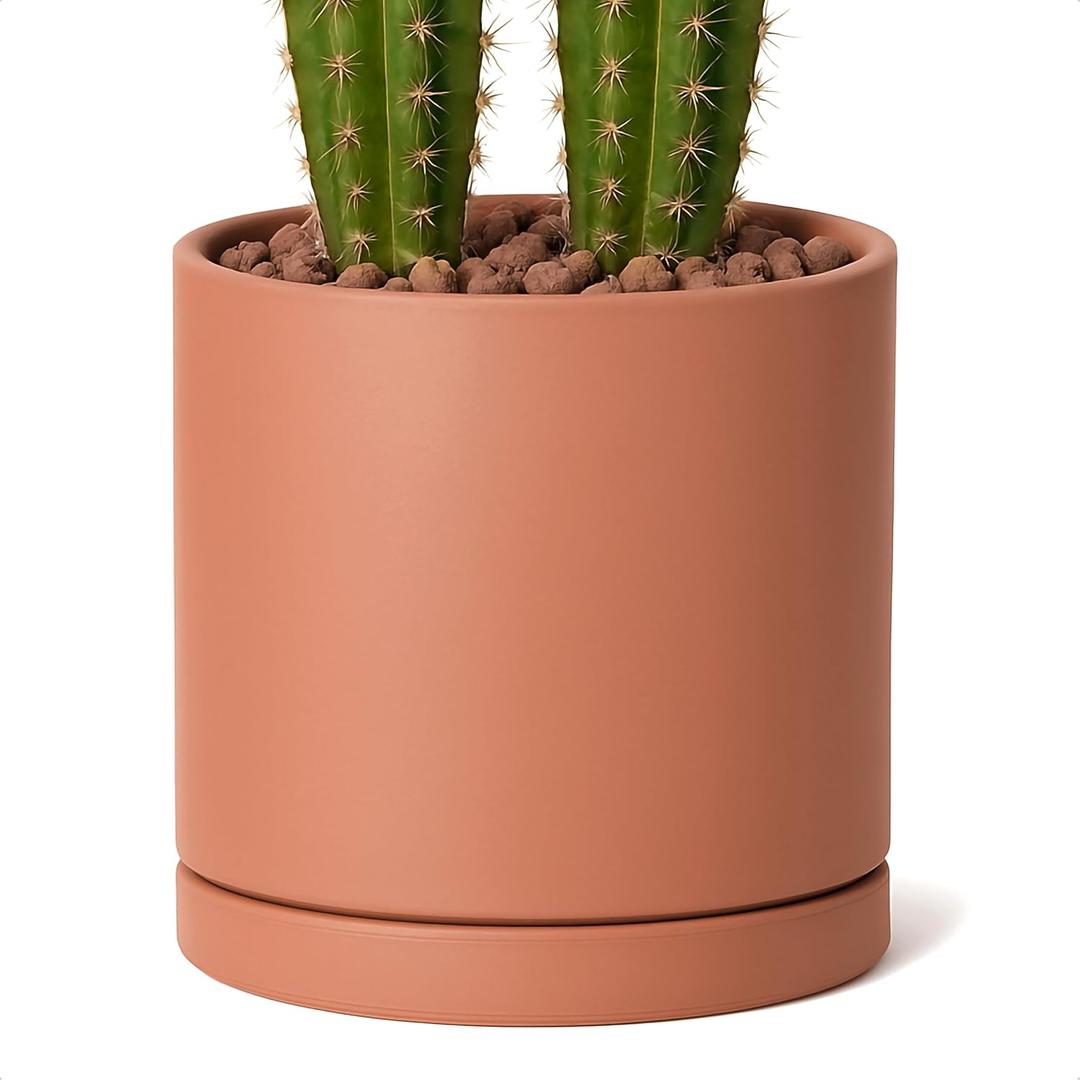 D'vine Dev Large 10 Inch Terracotta Plant Pot with Drainage Hole and Saucer, Round Cylinder Planter Pot for Indoor Plants, 40-X-A-5