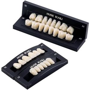 JMU 28 Pcs/Set Dental Acrylic Resin Denture Teeth Shade A1 T6 Resin Synthetic False Teeth