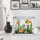4PCS Plastic Small Betta Fish Tank, 0.6 Gallon Stackable Fish Bowl, Cube Fish Aquarium Tank for Shrimp, Turtle, Small Crab (Clear)