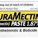 DuraMectin Ivermectin Paste 1.87% Horse Wormer 1 Tube (for Horses only)
