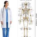 Life Size Skeleton Bones Named Poster 72 x 27 Inch Human Skeleton Poster for Classroom or Lab and Medical Office Shipped Crease-Free Posters Wall Decor for Students Teachers and Doctors, 72.1"L x 26.8"W