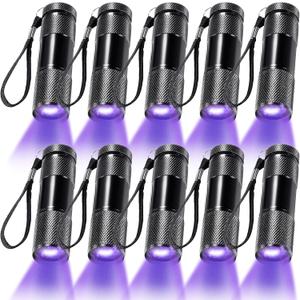 Roceei 5 Pieces UV Blacklight Flashlights, LED Light, Handheld, Mini Light Torch Detector, Portable UV Flashlight Torch for Pets Stains Urine (Purple Light)