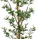 Potted Olive Artificial Tree - 8' - Green