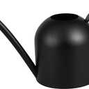 IMEEA Small Watering Can for Indoor Plants Stainless Steel Watering Can with Long Spout 15oz/450ml, (Black)
