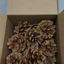 12 Pcs Big Size Snow Natural Pine Cones with Strings, 2-3.5 Rustic Pinecones Bulk Christmas Hanging Ornaments for Xmas Tree Decoration, DIY Crafts, Holiday, Wedding, Party