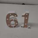 Treela 8.7'' Birthday Decorative LED Light up Numbers, Glitter Marquee Number Sign for Night Birthday Party Decorations Anniversary Bar LED Sign Backdrop Wall Table Centerpieces(16th,Rose Gold)